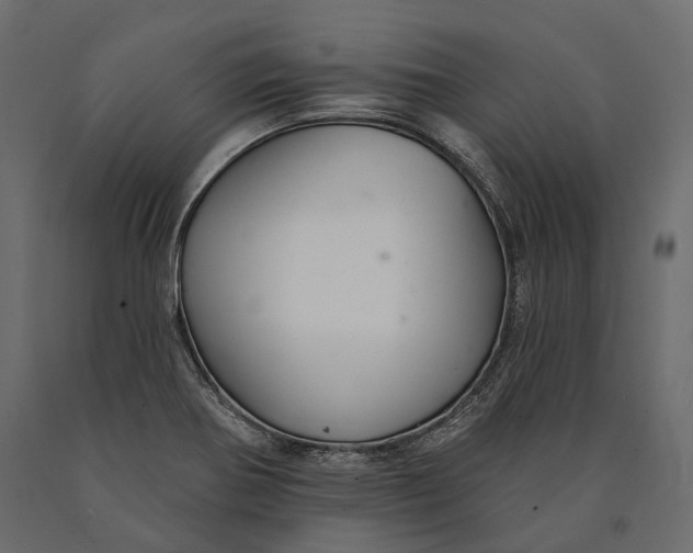 X0000090461370200708031231