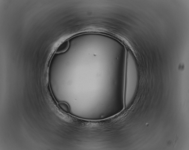 X0000090461371200708031231