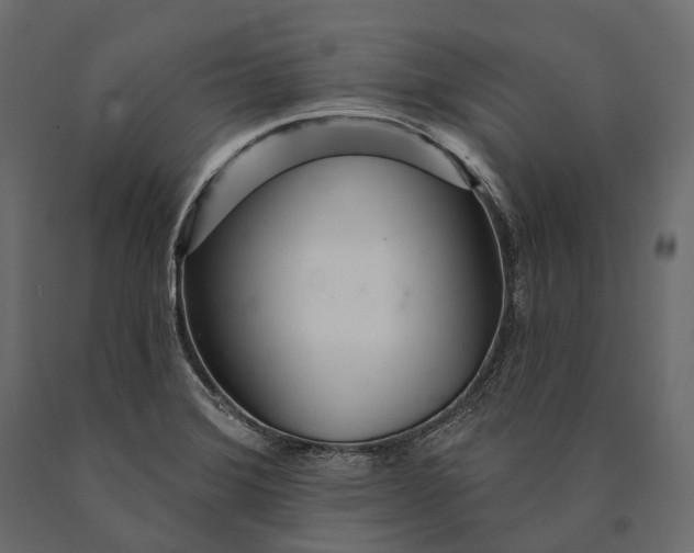 X0000090461372200708031231
