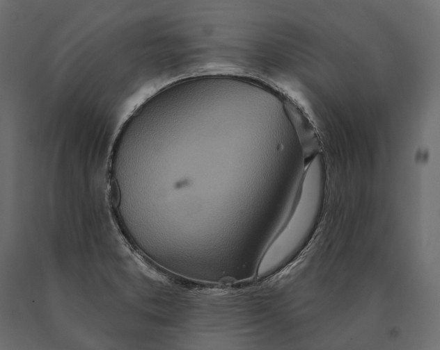 X0000090461373200708031231