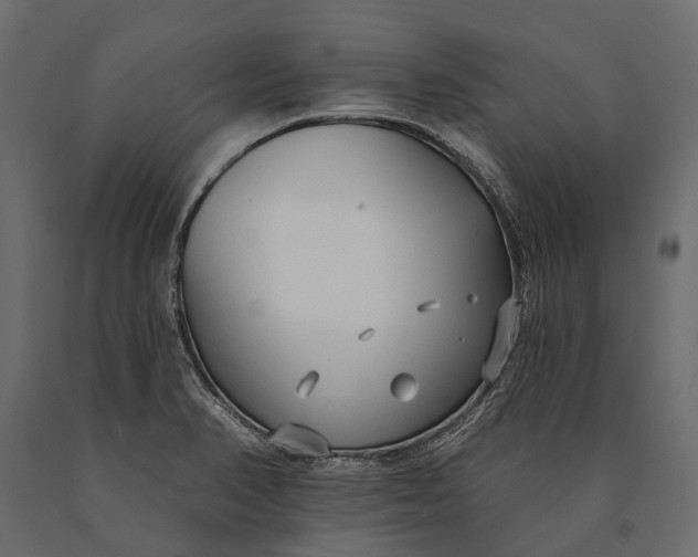 X0000090461374200708031231