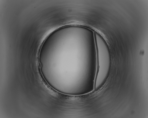 X0000090461375200708031231