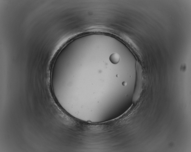 X0000090461376200708031231