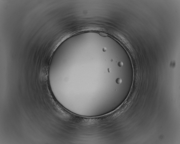X0000090461377200708031231
