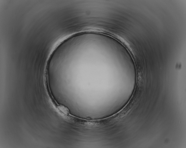 X0000090461379200708031231