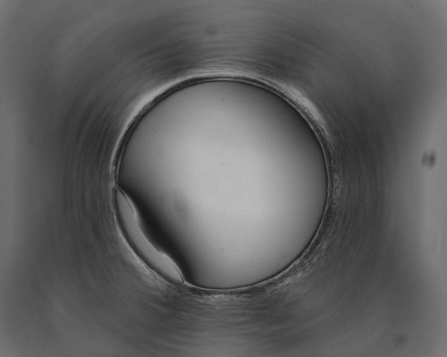 X0000090461380200708031231