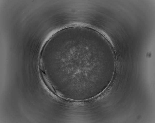X0000090461381200708031231