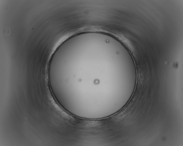 X0000090461382200708031231