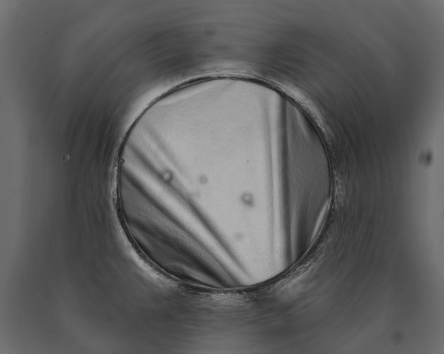 X0000090461383200708031231