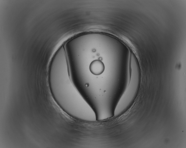 X0000090461384200708031231