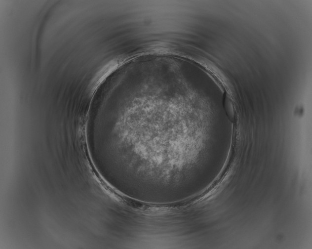 X0000090461385200708031231