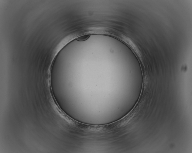 X0000090461386200708031231