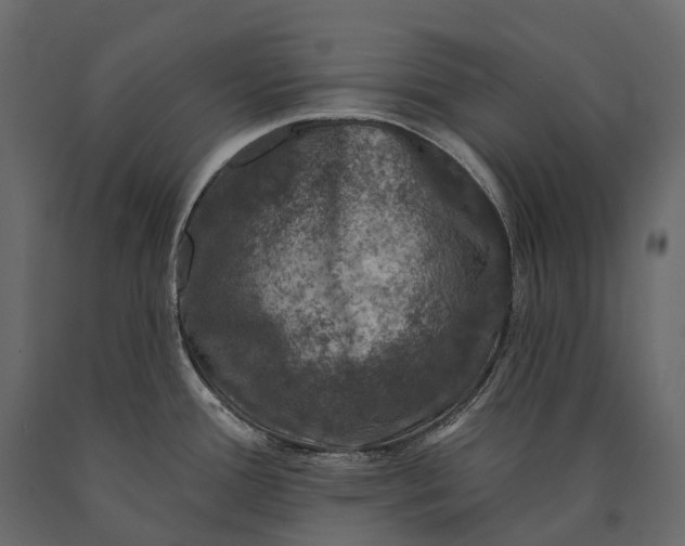 X0000090461388200708031231