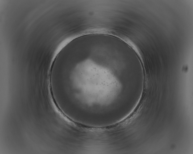 X0000090461389200708031231