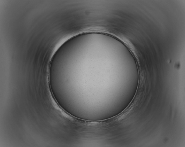 X0000090461390200708031231