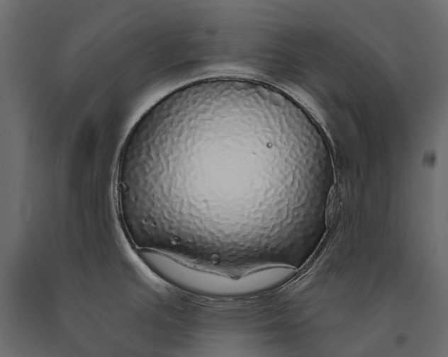 X0000090461391200708031231