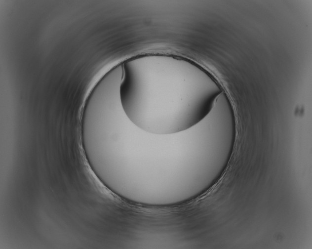 X0000090461392200708031231