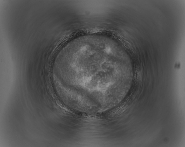 X0000090461393200708031230