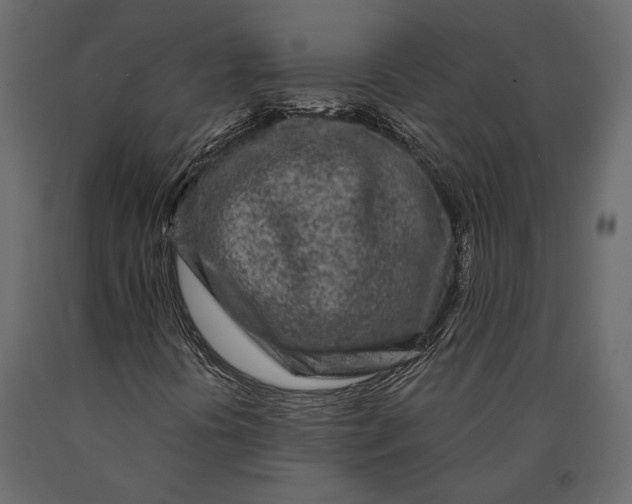 X0000090461394200708031230
