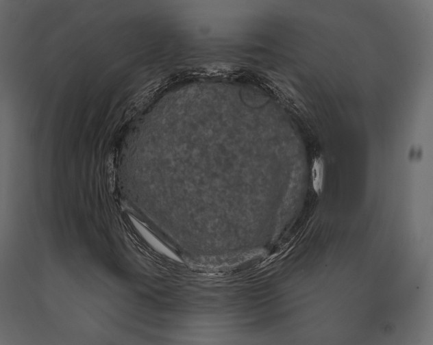 X0000090461395200708031230