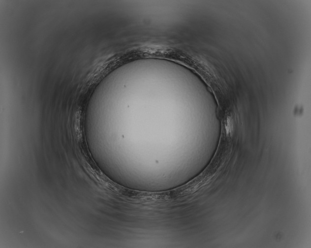 X0000090461396200708031230