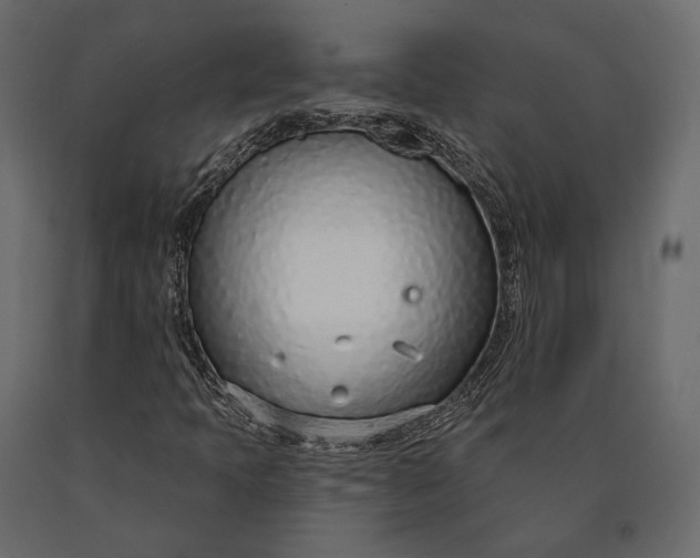 X0000090461397200708031230