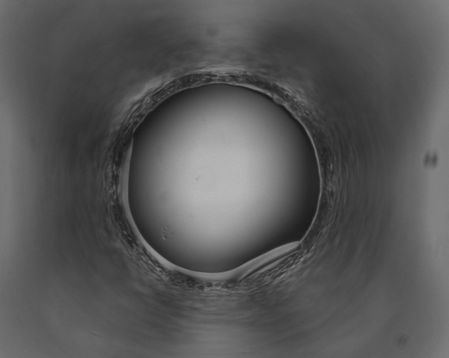 X0000090461398200708031230