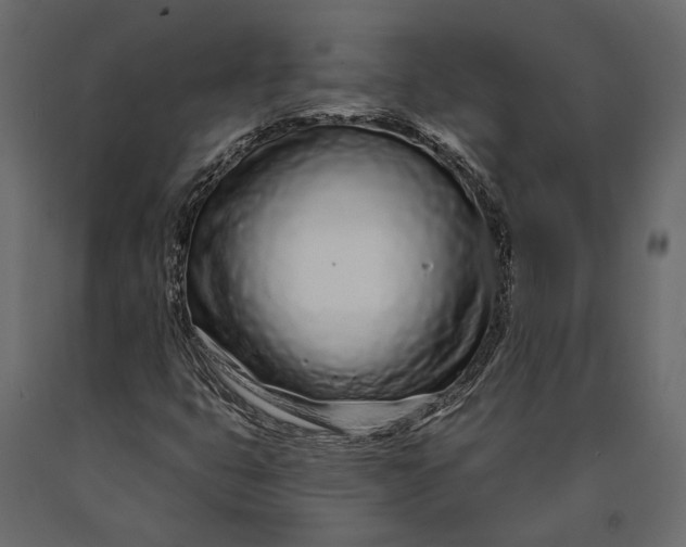 X0000090461399200708031230