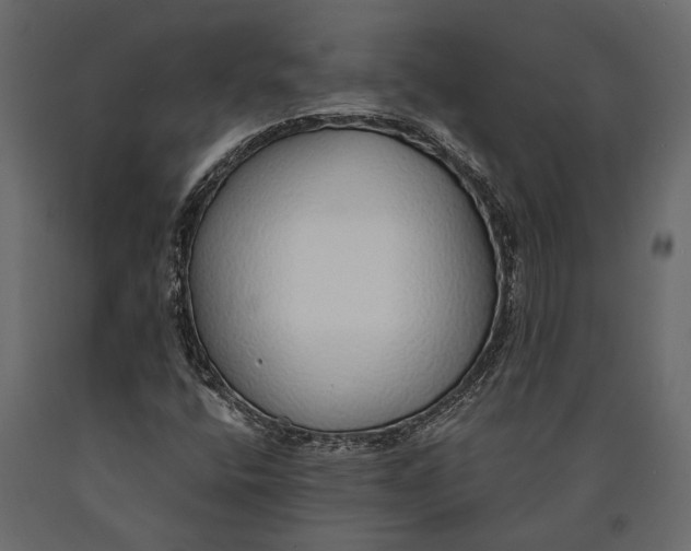 X0000090461400200708031230