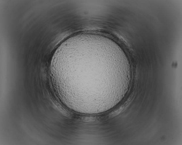X0000090461401200708031230
