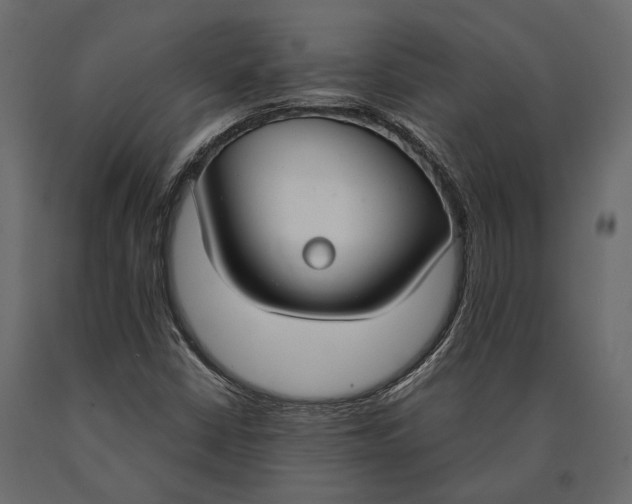 X0000090461402200708031230