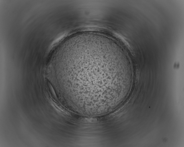 X0000090461403200708031230