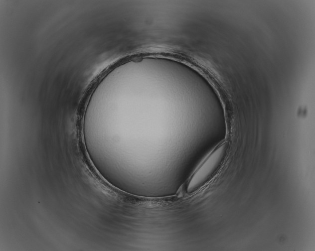 X0000090461404200708031230