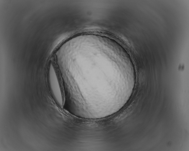 X0000090461405200708031230