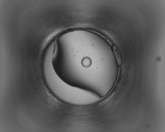 X0000090461406200708031230