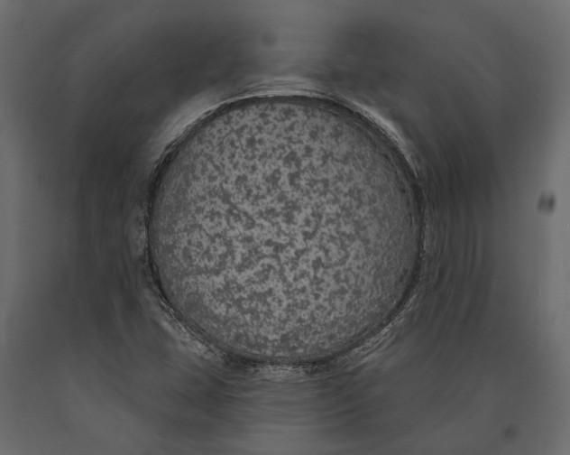 X0000090461407200708031230