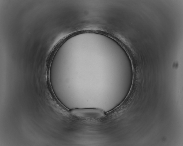 X0000090461408200708031230