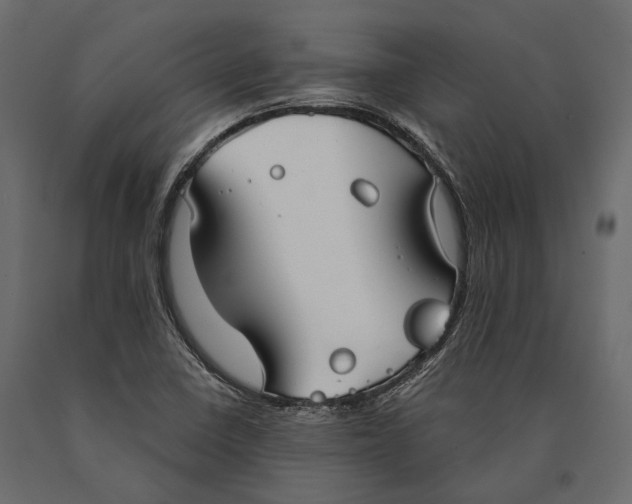 X0000090461410200708031230