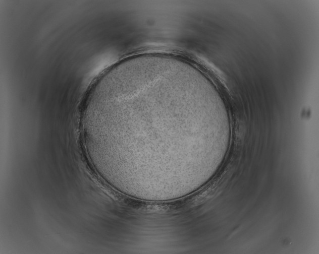 X0000090461411200708031230
