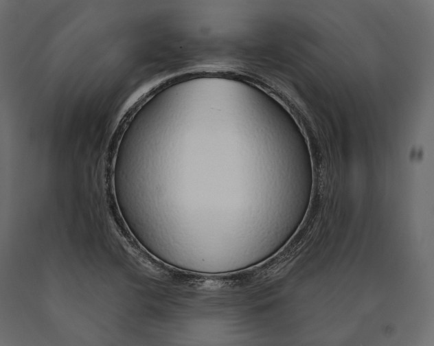 X0000090461412200708031230