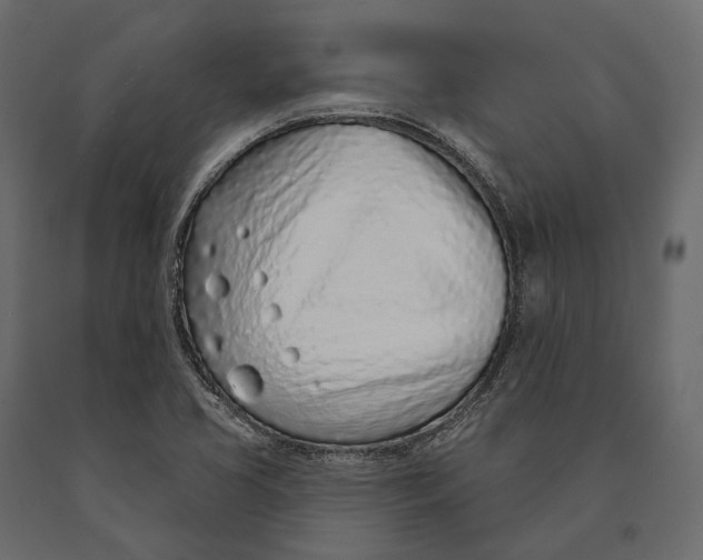 X0000090461413200708031230