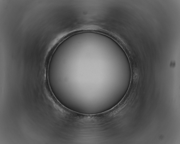 X0000090461414200708031230