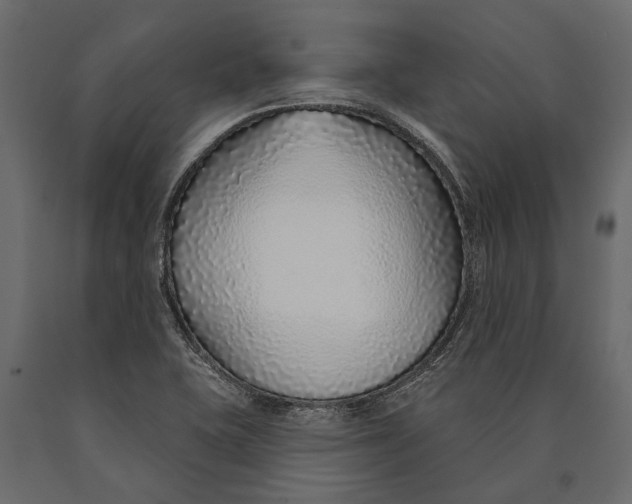 X0000090461415200708031230
