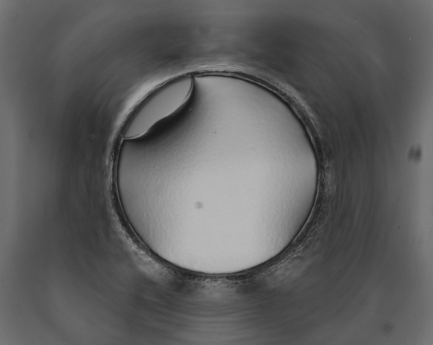X0000090461416200708031230