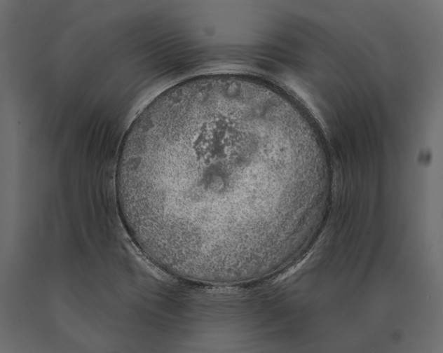 X0000090461417200708031230