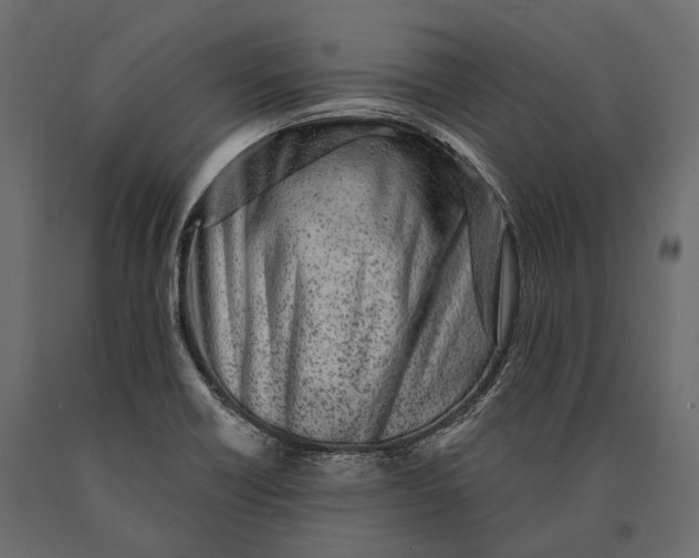 X0000090461418200708031230