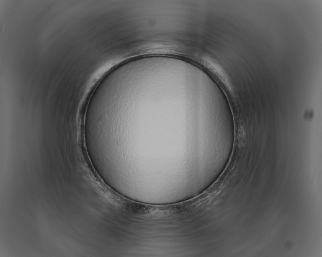 X0000090461419200708031230