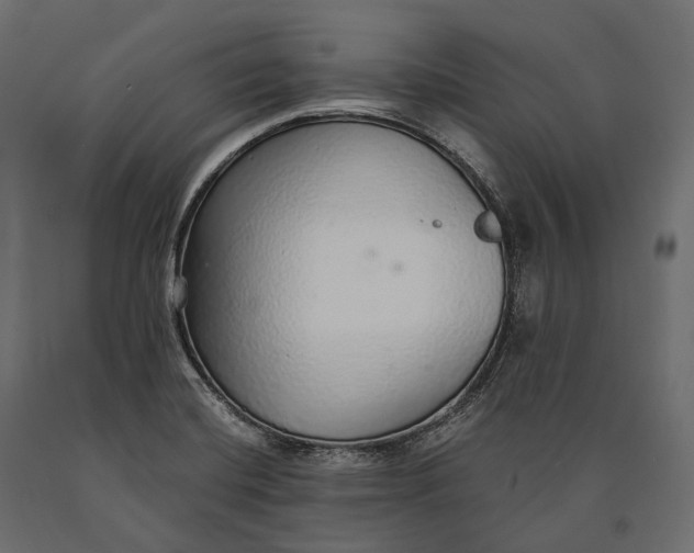 X0000090461420200708031230