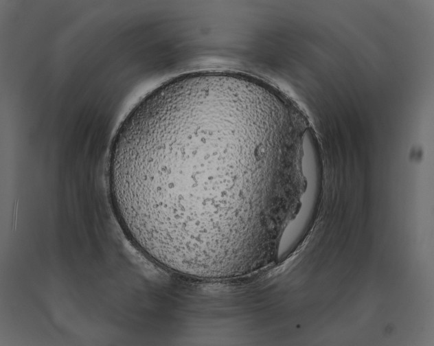 X0000090461421200708031230