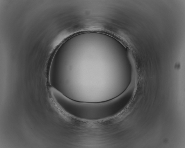 X0000090461422200708031230